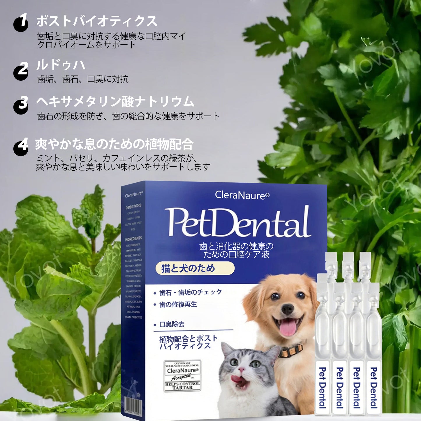 [公式ストア] CleraNaure® ペット用デンタル＆消化器健康 口腔ケア液 – 口臭を爽やかに、歯石を除去し歯茎の再生を促進、歯を安定させる（猫・犬用） – 本日限定80%オフ！